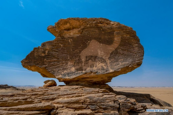 File photo taken on Sept. 20, 2020 shows a rock art image in Hima Cultural Area in southwest Saudi Arabia. Saudi Arabia's Hima Cultural Area was on July 24, 2021 officially recognized by UNESCO as a World Heritage Site during its 44th session held online and chaired from Fuzhou, China. Located in an arid and mountainous area of southwest Saudi Arabia, on one of the Arabian Peninsula's ancient caravan routes, the Hima Cultural Area contains a substantial collection of rock art images depicting hunting, fauna, flora and lifestyles in a cultural continuity of 7,000 years, according to UNESCO official website. (Saudi Arabia's Ministry of Culture/Handout via Xinhua)