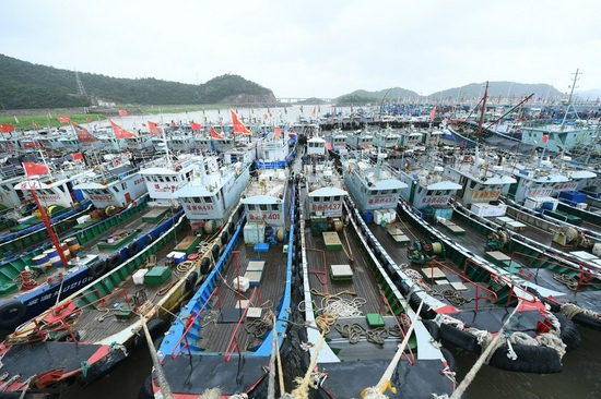 Fishing boats dock at Chongzhan Port in the city of Ningbo, east China's Zhejiang Province on July 24, 2021. (Xinhua/Weng Xinyang)