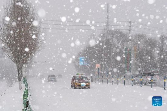 Vehicles move amid a blizzard on a street in Hegang City, northeast China's Heilongjiang Province, Nov. 22, 2021. Heavy snowfall hit many parts of Heilongjiang recently. Staff members of various sectors are braving frigid gusts and snowflakes to ensure normal availability of essential public services. (Xinhua/Xie Jianfei) 