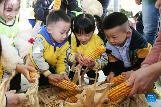 Photo taken on Nov. 27, 2021 shows children threshing corn by hand at Zhaizi Farming Experience Centre in Qianjiang, southwest China's Chongqing Municipality. Qianjiang District established the farming experience centre to attract more children to the countryside, so that they can gain a practical understanding of farm labour and learn about crops and the history of agriculture. (Xinhua/Yang Min)