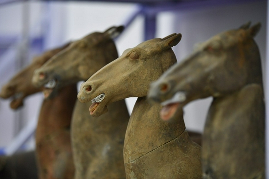 Photo taken on Dec. 16, 2021 shows ancient pottery horses unearthed from the large-scale mausoleum located in Jiangcun Village on the eastern outskirts of Xi'an, northwest China's Shaanxi Province. (Xinhua/Zhang Bowen)