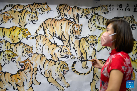 A painter creates tiger paintings in Klang of Selangor states, Malaysia, Dec. 30, 2021. An art project composed of 2,022 tiger paintings and 2,022 Chinese characters of Hu, meaning tiger, by local artists and enthusiasts was displayed here on Jan. 16, 2022 to welcome the upcoming Chinese zodiac Year of the Tiger. (Photo by Chong Voon Chung/Xinhua)