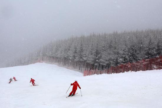 People ski at a ski field during a snowfall in Chongli District of Zhangjiakou City, north China's Hebei Province, Nov. 18, 2020. (Photo by Wu Diansen/Xinhua)