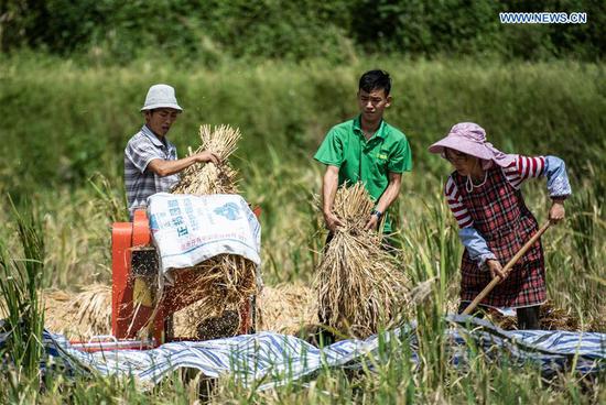 Farmers thresh rice stalks in Muze Village of Zhongzhai Miao-Yi-Buyi Town of Liuzhi special region, Liupanshui City, southwest China's Guizhou Province, Sept. 21, 2020. A total of 120,000 mu (8,000 hectares) rice ushered in harvest season recently in Liuzhi. (Xinhua/Tao Liang)