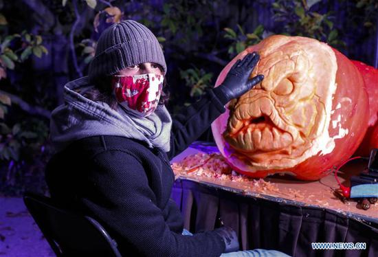  An artist answers a question about his carving at the Chicago Botanic Garden's Night of 1000 Jack-O'-Lanterns in Glencoe, Illinois, the United States, on Oct. 24, 2020. More than 1,000 hand-carved pumpkins are on display here pending Halloween. (Photo by Joel Lerner/Xinhua)