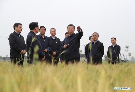 Chinese President Xi Jinping, also general secretary of the Communist Party of China Central Committee and chairman of the Central Military Commission, stops by wheat fields to check crop growth and learns about progress in summer grain production while inspecting the South-to-North Water Diversion Project in Xichuan County, Nanyang, central China's Henan Province, May 13, 2021. (Xinhua/Wang Ye)