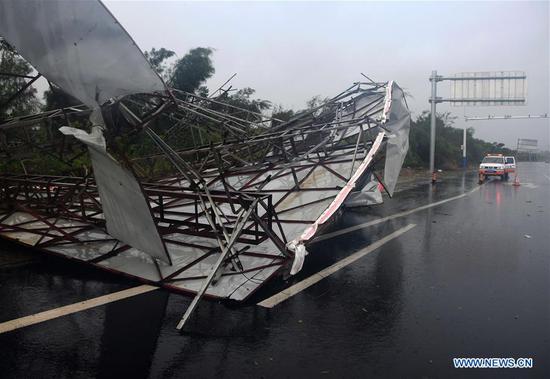 An advertisement board is blown down by strong winds brought by Typhoon Mekkhala on a road in Zhangpu County of Zhangzhou, southeast China's Fujian Province, Aug. 11, 2020. Typhoon Mekkhala, the sixth this year, made landfall at around 7:30 a.m. Tuesday in Zhangpu County, east China's Fujian Province, bringing gales of up to 33 meters per second near its eye, according to local meteorological authorities. (Xinhua/Wei Peiquan)