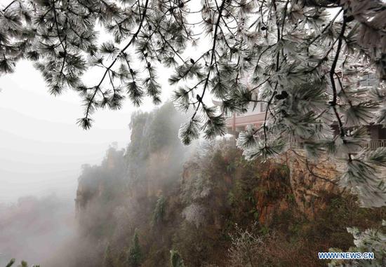 Photo taken on Nov. 23, 2020 shows a frost-covered tree at Wulingyuan scenic spot in Zhangjiajie, central China's Hunan Province. (Photo by Wu Yongbing/Xinhua)