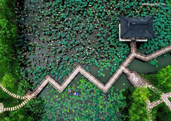 Aerial photo taken on Sept. 21, 2020 shows volunteers clearing the surface of a pond in Xucang Village, Changxing County of east China's Zhejiang Province. Local authorities launched a campaign to clear up the water system in villages to secure a pleasant environment. (Xinhua/Xu Yu)