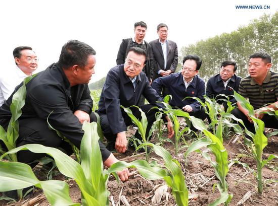 Chinese Premier Li Keqiang, also a member of the Standing Committee of the Political Bureau of the Communist Party of China Central Committee, visits farmland in Songyuan City, northeast China's Jilin Province, June 15, 2021. Li made an inspection tour to the cities of Songyuan and Changchun in northeast China's Jilin Province from Tuesday to Wednesday. (Xinhua/Pang Xinglei)