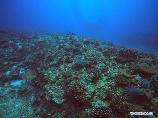 Chinese scientists said on Thursday that they have completed a comprehensive scientific expedition near Zhongsha Islands in the South China Sea. During the expedition project, which came to an end in late July, three research vessels were organized for missions including samplings for topographic, hydrodynamic, meteorological, chemical, ecological, and biological research in different water areas near the islands, according to the South China Sea Institute of Oceanology of the Chinese Academy of Sciences. Underwater geological drilling was also carried out at the big atoll, a ring-shaped coral reef of Zhongsha. Lin Qiang, the chief scientist of the project, said the expedition has laid a more solid foundation for the study of the ecological environment and biological resources, the fine topographic mapping of the water areas near Zhongsha Islands, and an accurate understanding of stratum features of the islands and reefs in the area. 