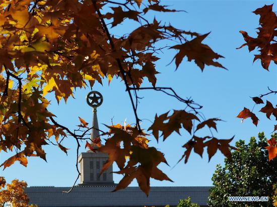 Photo taken on Oct. 23, 2020 shows the autumn view near the Military Museum of the Chinese People's Revolution in Beijing, capital of China. (Xinhua/Luo Xiaoguang) 