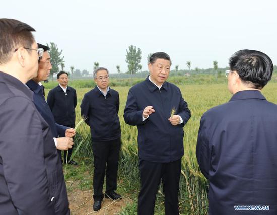 Chinese President Xi Jinping, also general secretary of the Communist Party of China Central Committee and chairman of the Central Military Commission, stops by wheat fields to check crop growth and learns about progress in summer grain production while inspecting the South-to-North Water Diversion Project in Xichuan County, Nanyang, central China's Henan Province, May 13, 2021. (Xinhua/Ju Peng)