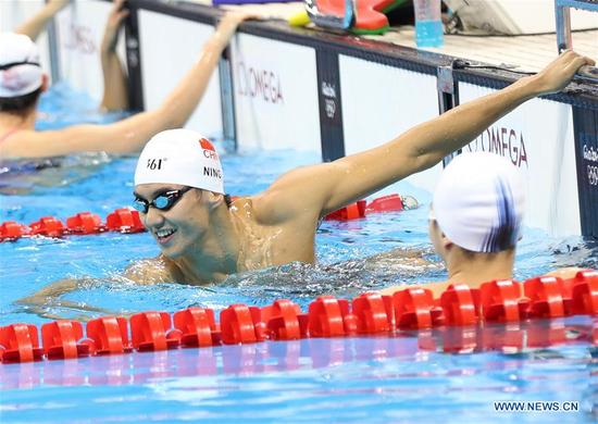 Butterfly swimming picture