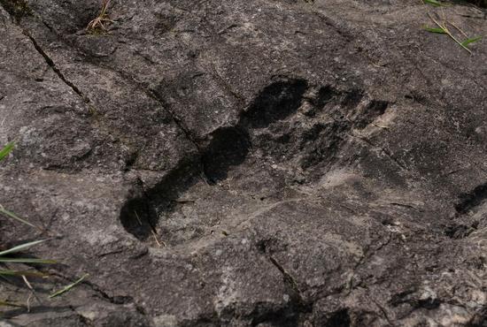 Giant footprint in rock found in Guizhou province