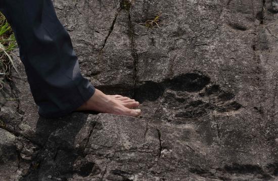 Giant footprint in rock found in Guizhou province