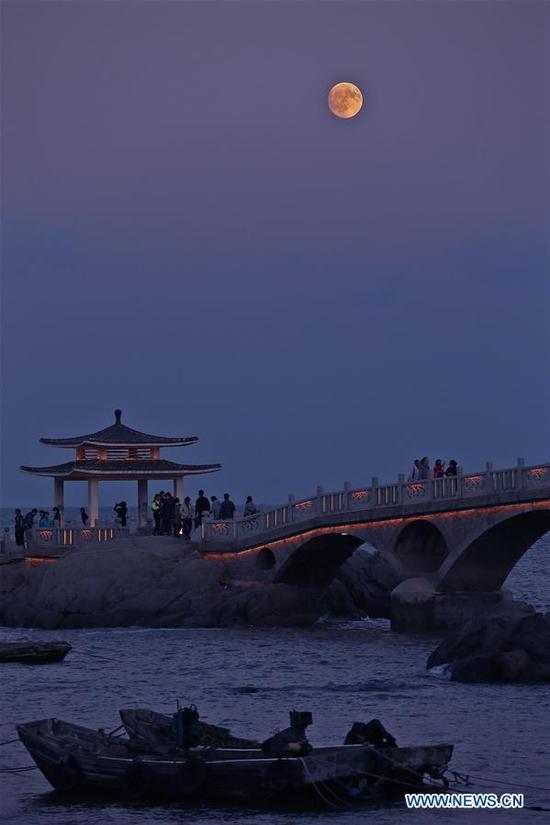 woman in the moon midautumn woman in the moon midautumn