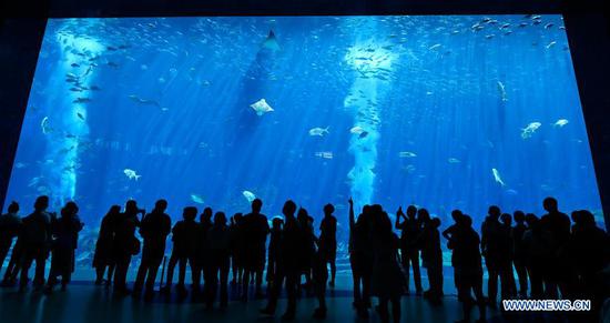 Tourists visit an aquarium at the Atlantis resort in Sanya, south China's Hainan Province, Aug. 6, 2020. During the summer vacation, Sanya's tourism industry accelerated its recovery. (Xinhua/Yang Guanyu)