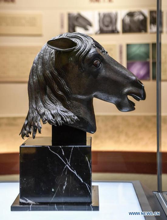 A bronze horse head sculpture looted from Yuanmingyuan is on display at Wenshu Pavilion of Zhengjue Temple in Yuanmingyuan, Beijing, capital of China, Dec. 1, 2020. A bronze horse head sculpture, a treasure of China's Old Summer Palace that went missing after an Anglo-French allied forces' looting 160 years ago, returned to its original palace home Tuesday. It is the first time that a lost important cultural relic from the Old Summer Palace, or 