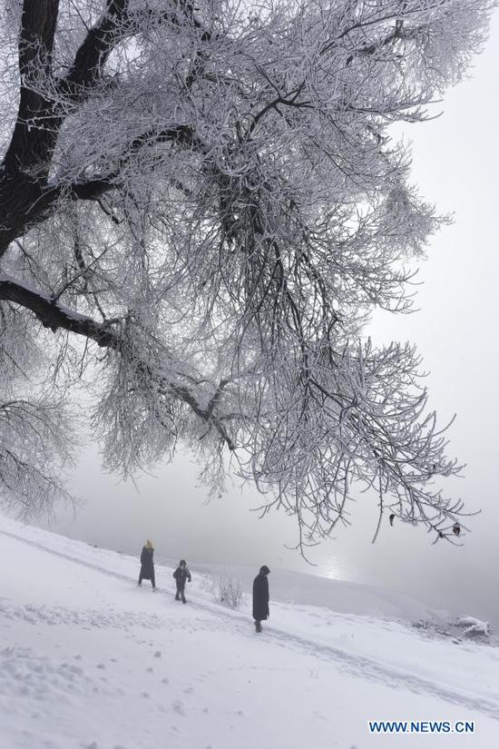 People enjoy the scenery of rime-covered trees along the Mudanjiang River in Ning'an City, northeast China's Heilongjiang Province, Nov. 22, 2020. (Photo by Zhang Chunxiang/Xinhua)