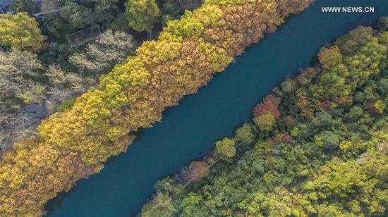 Aerial photo taken on Oct. 24, 2020 shows the autumn scenery of Huaxi National City Wetland Park in Guiyang, capital of southwest China's Guizhou Province. (Xinhua/Tao Liang)