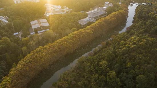 Aerial photo taken on Oct. 25, 2020 shows the autumn scenery of Huaxi National City Wetland Park in Guiyang, capital of southwest China's Guizhou Province. (Xinhua/Tao Liang)