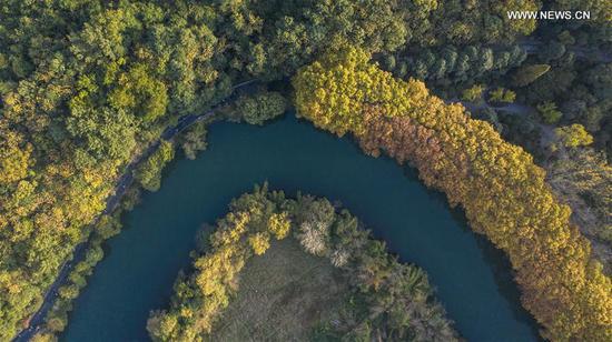 Aerial photo taken on Oct. 24, 2020 shows the autumn scenery of Huaxi National City Wetland Park in Guiyang, capital of southwest China's Guizhou Province. (Xinhua/Tao Liang)