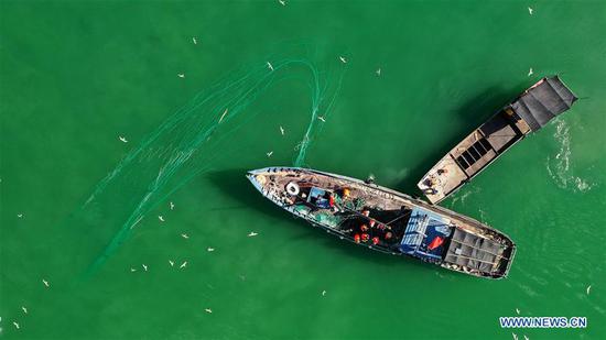 Aerial photo taken on Aug. 8, 2020 shows fishermen hauling fishing nets in Bostan Lake in Bohu County, northwest China's Xinjiang Uygur Autonomous Region. (Photo by Nian Lei/Xinhua) 