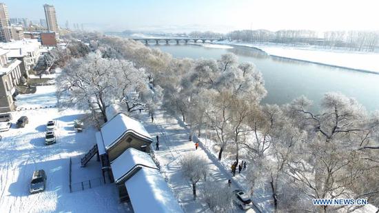 Aerial photo taken on Nov. 22, 2020 shows the scenery of rime-covered trees along the Mudanjiang River in Ning'an City, northeast China's Heilongjiang Province. (Photo by Zhang Chunxiang/Xinhua)