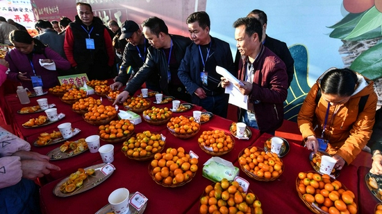 Judges evaluate candidates at a 