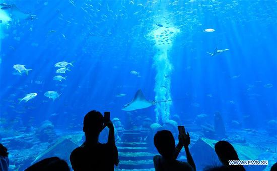 Tourists visit an aquarium at the Atlantis resort in Sanya, south China's Hainan Province, Aug. 6, 2020. During the summer vacation, Sanya's tourism industry accelerated its recovery. (Xinhua/Yang Guanyu) 