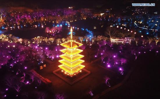 Aerial photo taken on March 3, 2021 shows a night view of cherry blossom garden by the East Lake in Wuhan, central China's Hubei Province. The cherry blossom festival kicked off in Wuhan on Wednesday, welcoming frontliners who fought in Hubei to aid local COVID-19 pandemic control efforts in 2020. (Xinhua/Cheng Min)