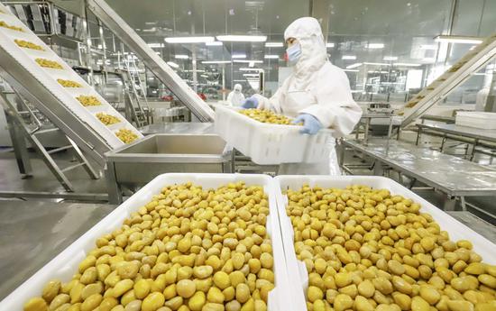 Workers process chestnut kernels for export at a workshop of a foreign trade company in Zunhua City, north China's Hebei Province, July 14, 2020. [Photo/Xinhua]