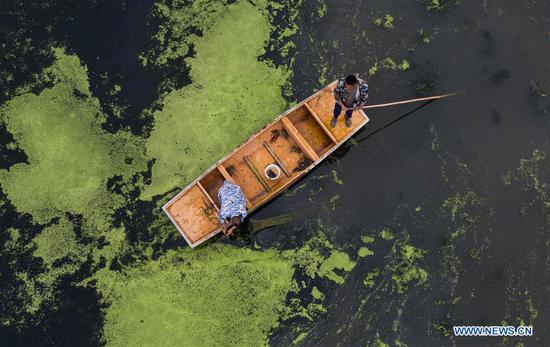 Aerial photo taken on Sept. 23, 2020 shows crab breeders catching crabs at a breeding base in Wuxing District of Huzhou, east China's Zhejiang Province. A crab-breeding base covering an area of 14,000 mu (about 933 hectares) ushered in harvest season recently in Wuxing. In recent years, some villages in Wuxing have been vigorously promoting industrial upgrading and established an association, so as to standardize and improve crab quality, facilitate ecological cultivation and boost villagers' income. (Xinhua/Xu Yu)