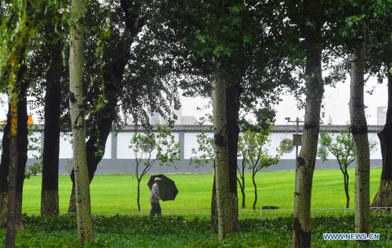 A pedestrian walks amid rain triggered by Typhoon Haishen in Changchun, northeast China's Jilin Province, Sept. 8, 2020. Heavy rain hit most parts of the city of Changchun from Monday night to Tuesday fueled by Typhoon Haishen, the 10th typhoon this year. China's State Flood Control and Drought Relief Headquarters on Monday upgraded its emergency response for flood and typhoon control from Level IV to Level III, as Typhoon Haishen-triggered downpours are expected in vast stretches of northeast China over the next two days. (Xinhua/Xu Chang)