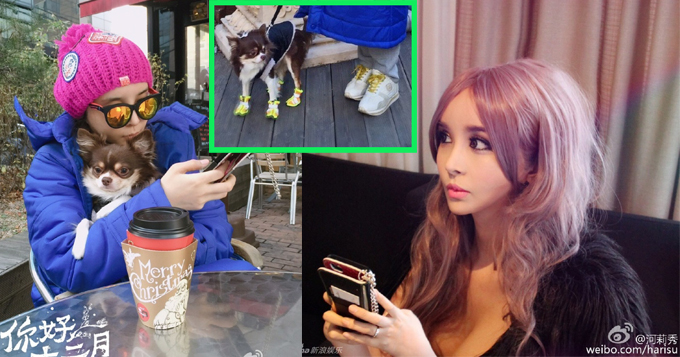 变性女星河莉秀扮芭比 与爱犬穿同款鞋