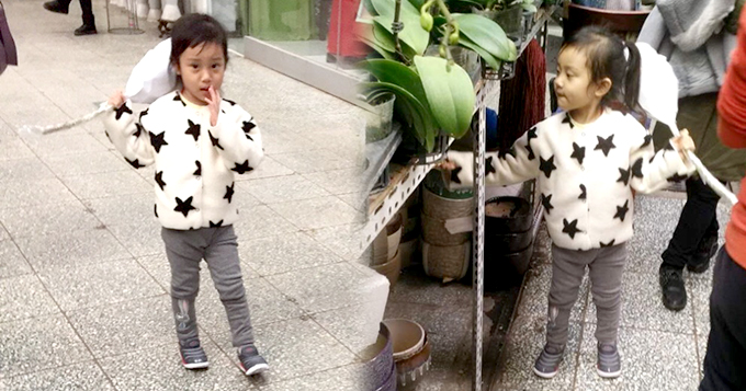 甜馨扎马尾辫害羞可爱 感恩节上街买鲜花