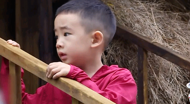 《爸爸去哪儿》jasper表情包登场!可爱炸裂