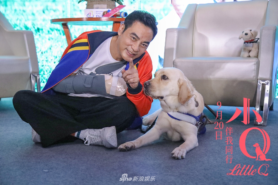 任达华遇袭后首度复工 右手仍包扎严实惹人心疼