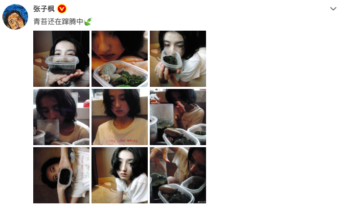 组图：张子枫晒生活随拍清新自然 手捧青苔怼脸拍好呆萌_0