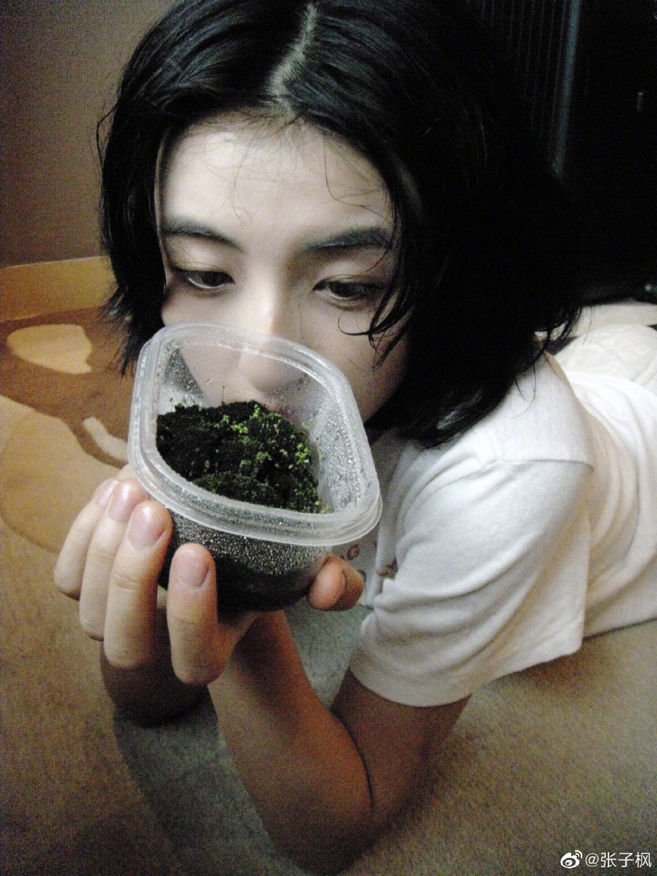 组图：张子枫晒生活随拍清新自然 手捧青苔怼脸拍好呆萌_5