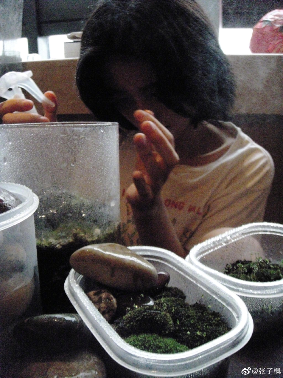 组图：张子枫晒生活随拍清新自然 手捧青苔怼脸拍好呆萌_4