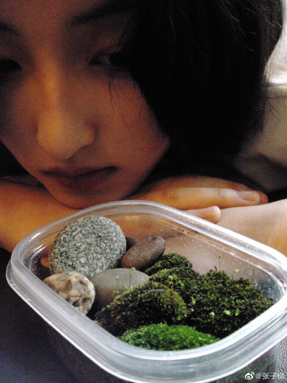 组图：张子枫晒生活随拍清新自然 手捧青苔怼脸拍好呆萌_6