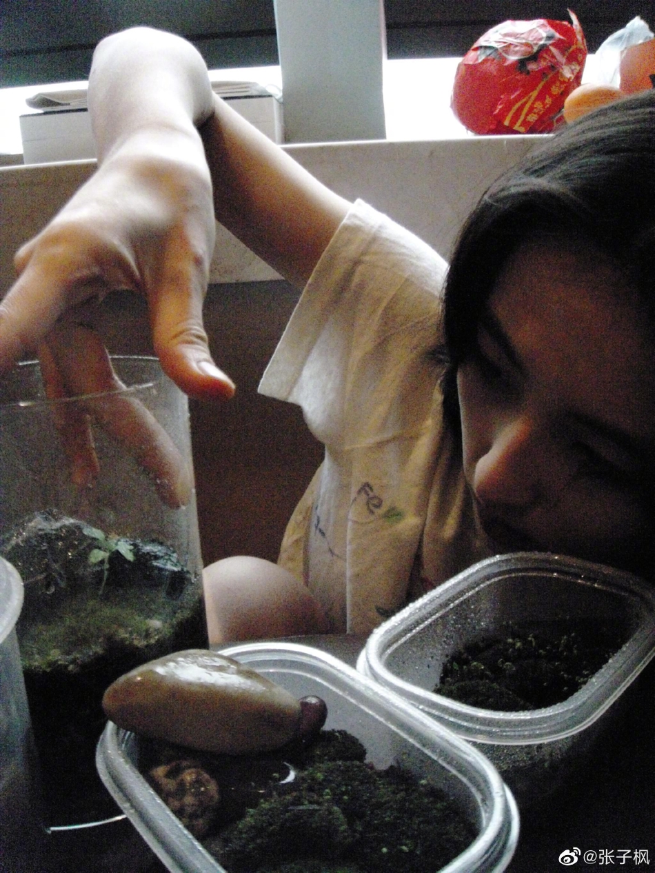 组图：张子枫晒生活随拍清新自然 手捧青苔怼脸拍好呆萌_1