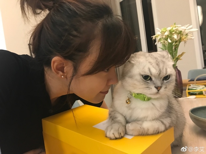 萨维奇-乐鱼app(leyu)官方网站-乐鱼官网