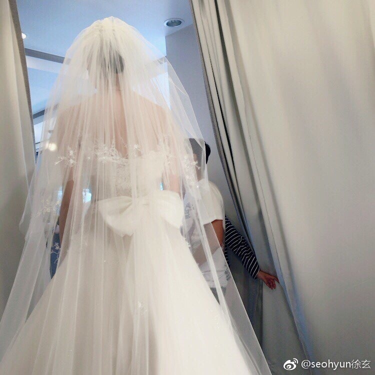 大人的婚纱_会长是女仆大人(2)
