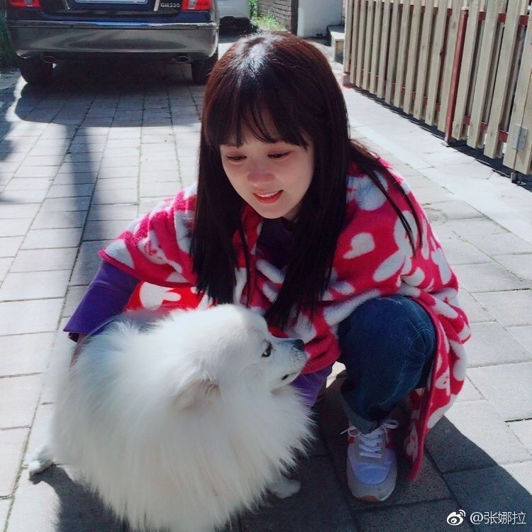 张娜拉怀抱萌宠笑容甜美 狗狗猫猫她都爱