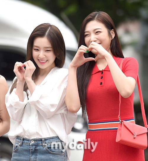 Redvelvet Irene，Joy