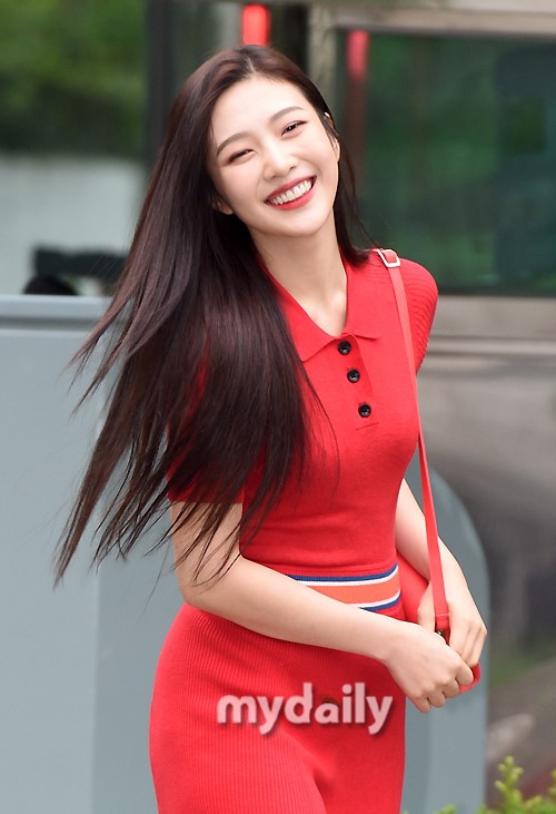 Redvelvet Joy