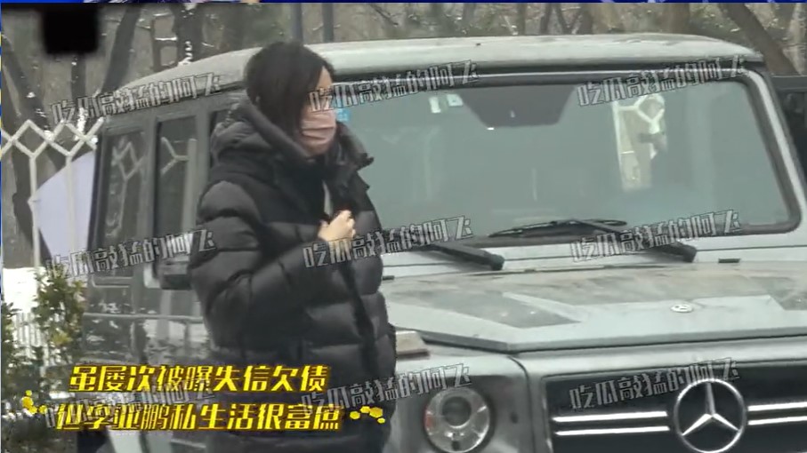 组图：李亚鹏和女友一同乘车外出购物 结束后挽手回家互动有爱_4
